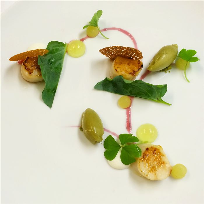 SCALLOPS celery rice cream citrus oyster leaves matcha sorbet Photo by