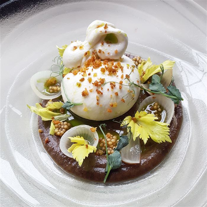 Buratini, charred onion puree, pickled pearl onions, celery leaves